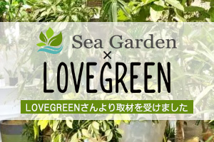 LOVEGREEN